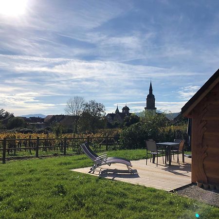 Domaine Rosfelder - Locations De Gite Et Cabane Insolite Gertwiller Exterior foto