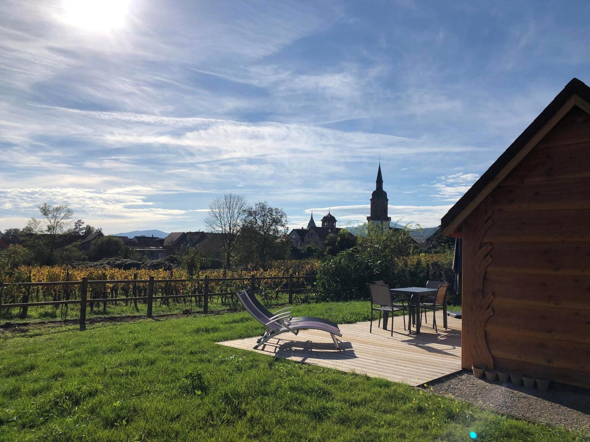Domaine Rosfelder - Locations De Gite Et Cabane Insolite Gertwiller Exterior foto